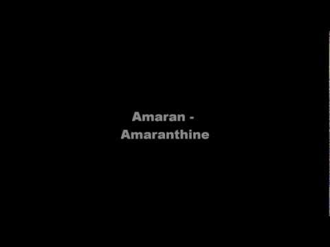 Текст песни Amaran - As We Fly
