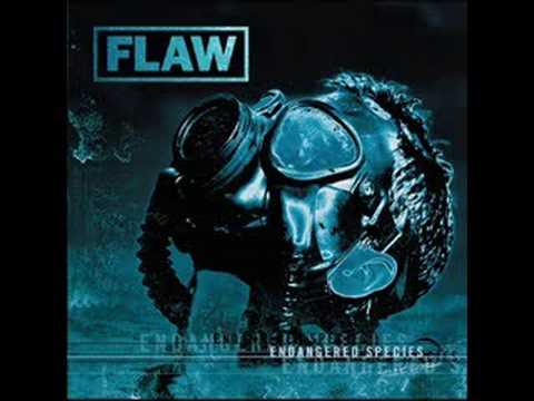 Текст песни Flaw - You