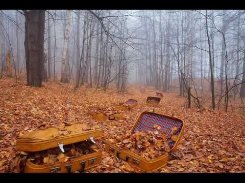 Текст песни Тарас Петриненко - Останні теплі дні