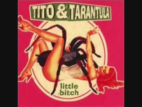 Текст песни Tito  Tarantula - After Dark