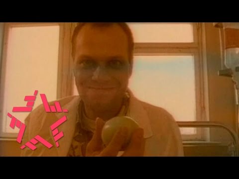 Текст песни  - Прекрасная Леди