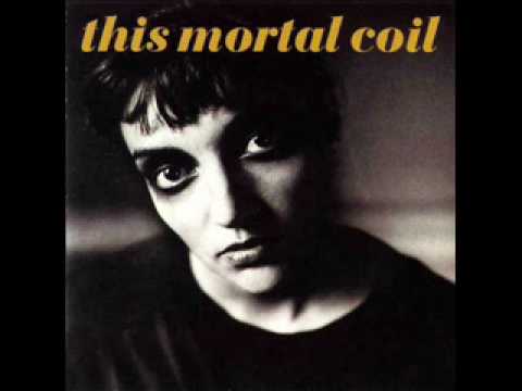 Текст песни This Mortal Coil - I Come And Stand at Every Door