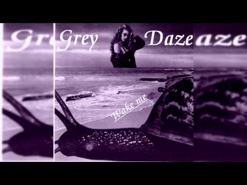 Текст песни Grey Daze - Shouting Out