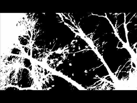 Текст песни Tearstained - Final Thoughts