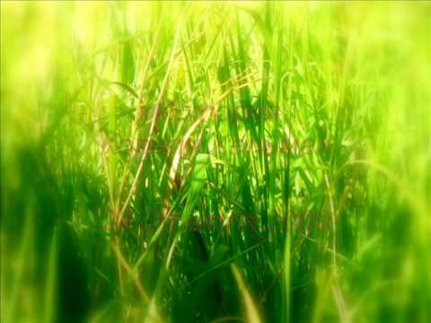 Текст песни Aire - В зелных Роханских полях