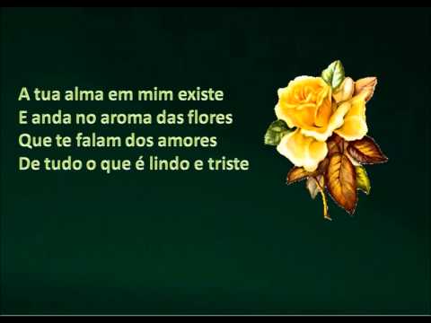 Текст песни  - Flor Do Verde Pinho