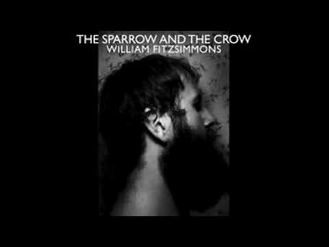 Текст песни William Fitzsimmons - I Don  t Feel It Anymore Song of the Sparrow