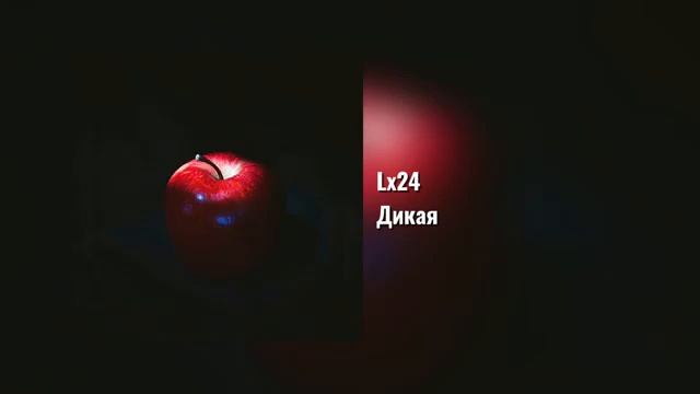 Текст песни Lx24 - Дикая