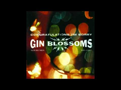 Текст песни Gin Blossoms - Day Job