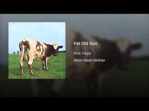 Текст песни  - Fat Old Sun