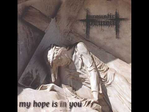 Текст песни Acoustic Torment - My Hope Is In You