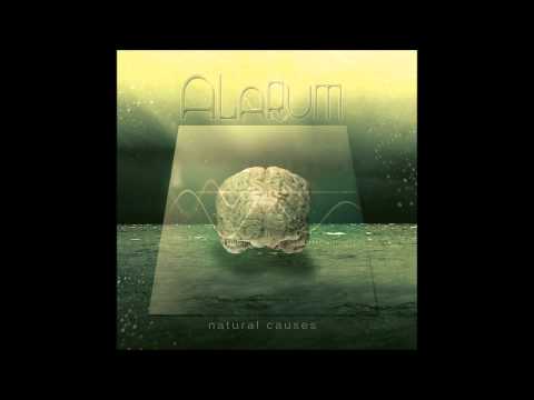 Текст песни Alarum - Silence