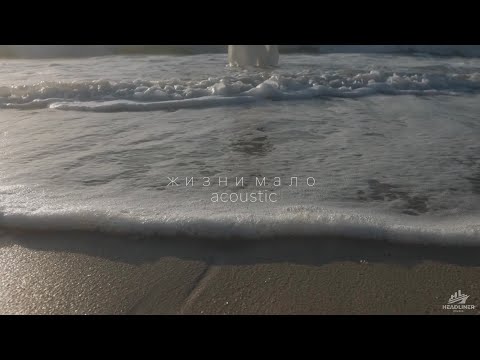 Текст песни  - Жизни мало