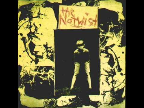 Текст песни The Notwist - Nothing Like You