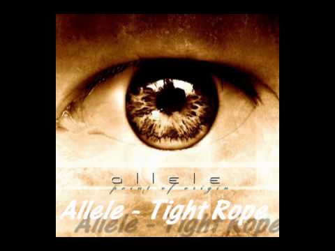 Текст песни Allele - Tightrope