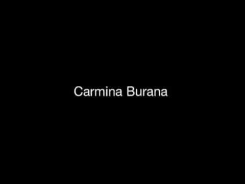 Текст песни  - Carmina Burana