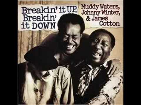 Текст песни Muddy Waters - Black Cat Bone / Dust My Broom