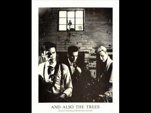 Текст песни And also the trees - In My House