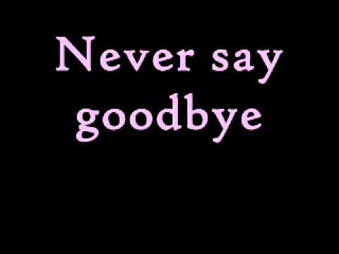 Текст песни  - Never Say Goodbye