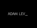 Текст песни Adam Levine - Live Again