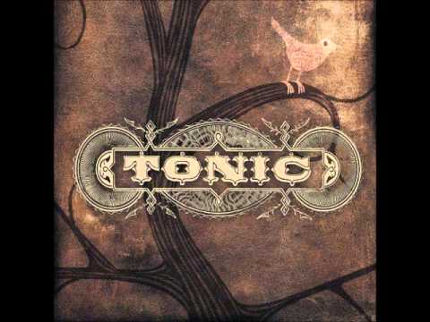 Текст песни Tonic - She Goes Down