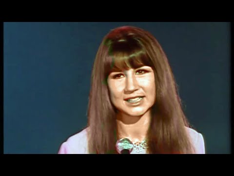 Текст песни The Seekers - Colours Of My Life