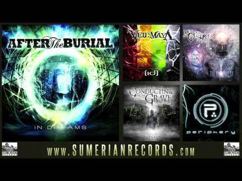 Текст песни After the Burial - To Carry You Away