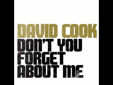 Текст песни David Cook - Dont You Forget About Me