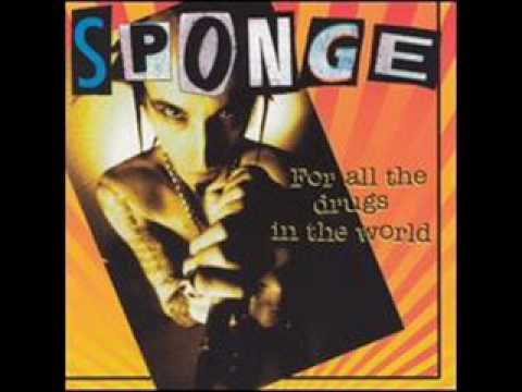 Текст песни Sponge - Leave This World