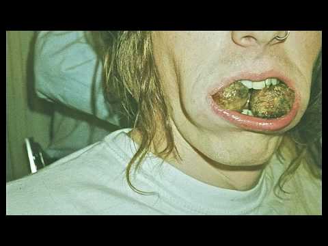 Текст песни Mystery Jets - Flash A Hungry Smile
