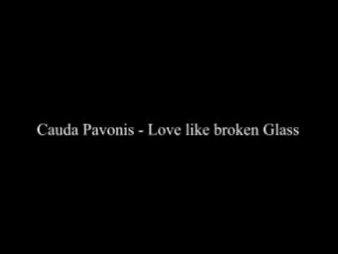 Текст песни Cauda Pavonis - Love Like Broken Glass