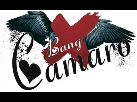 Текст песни Bang Camaro - Swallow The Razor