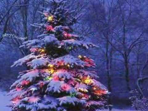 Текст песни Christmas Songs - Sleep Well, Little Children