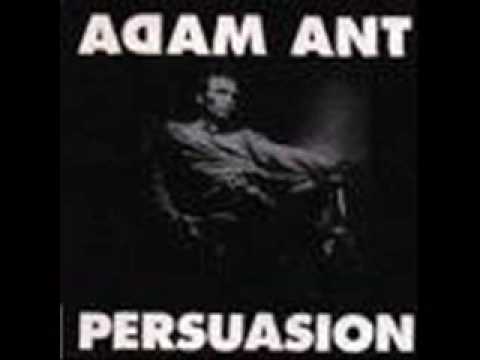 Текст песни Adam Ant - All Girl Action