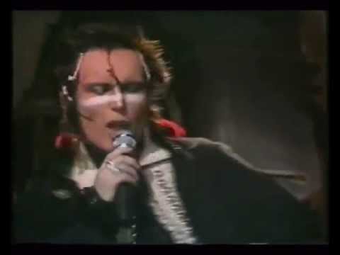 Текст песни Adam And The Ants - Jolly Roger