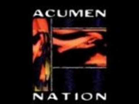 Текст песни Acumen Nation - Mister Sandman I Am