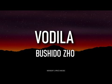 Текст песни  - vodila