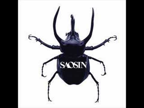 Текст песни Saosin - It