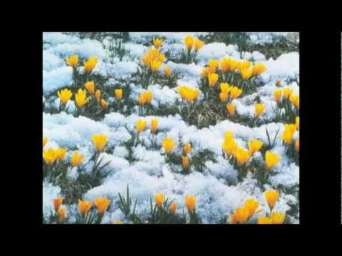 Текст песни Фредерик Шопен - Времена года (весенний вальс)