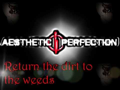 Текст песни Aesthetic Perfection - One And Only