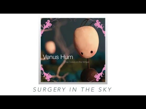 Текст песни Venus Hum - Surgery In The Sky