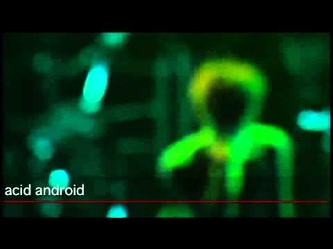 Текст песни Acid Android - Amniotic