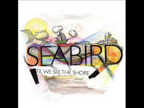 Текст песни Seabird - Not Alone