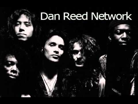 Текст песни Dan Reed Network - Tamin