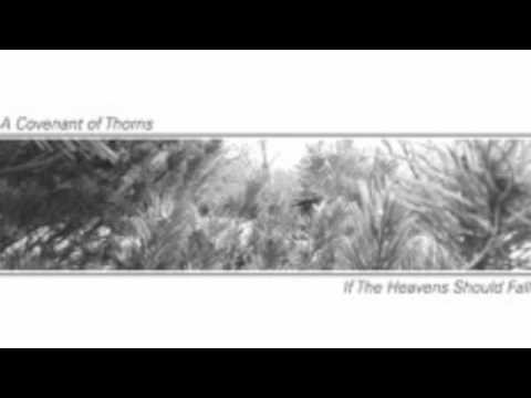 Текст песни A Covenant Of Thorns - Saline And Bitter