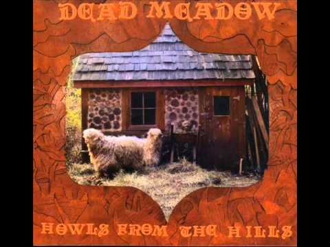 Текст песни Dead Meadow - Dusty Nothing