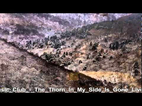 Текст песни  - The Thorn In My Side Is Gone (Alternate Version)