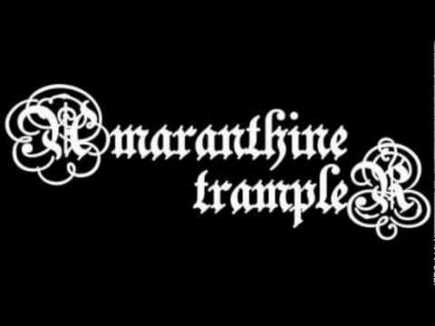 Текст песни Amaranthine Trampler - The Box