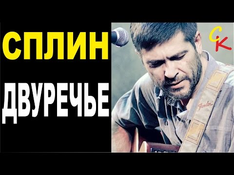 Текст песни Васильев Александр - Двуречье Я ничего не скрыл