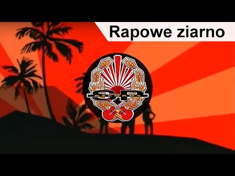 Текст песни Abradab - Rapowe Ziarno
